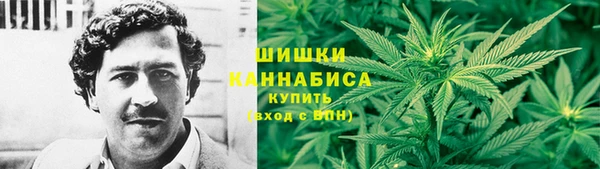 СК Верея