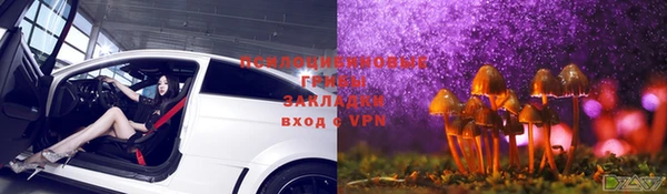 стафф Володарск